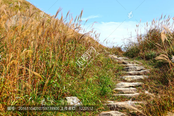徒步旅行的山路