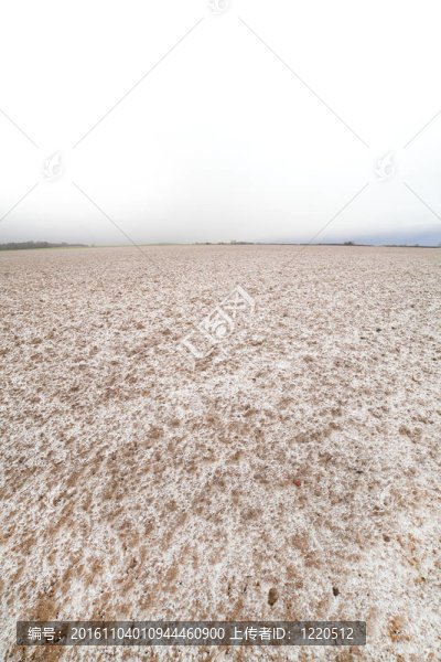 田野上的雪；