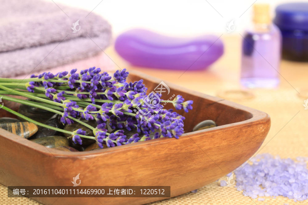薰衣草SPA