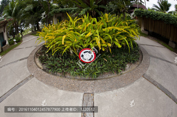 交通圈的標(biāo)志