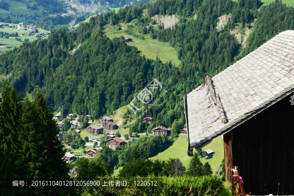 山地景觀