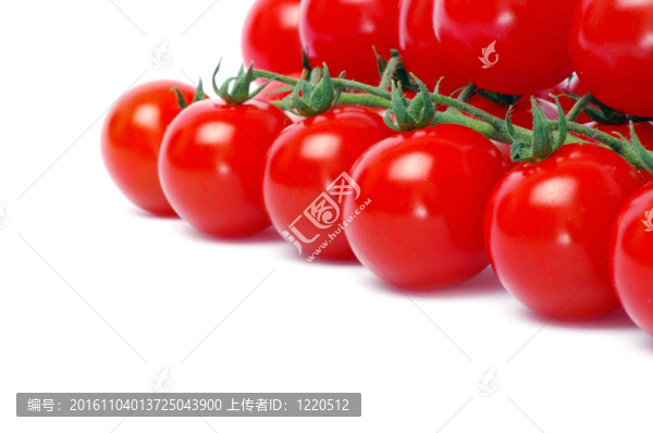 西紅柿