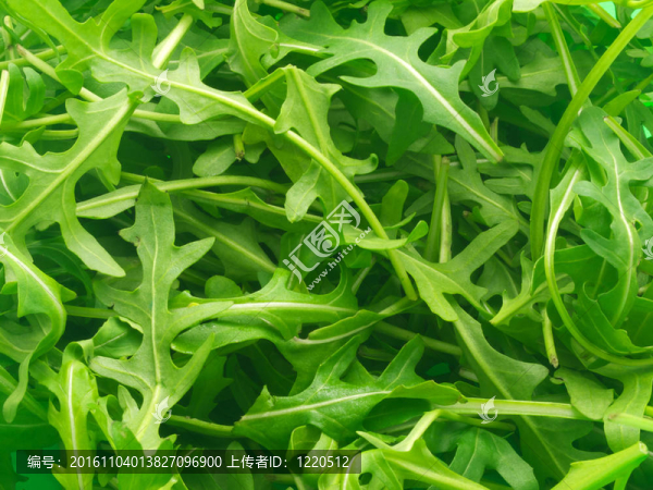 火箭