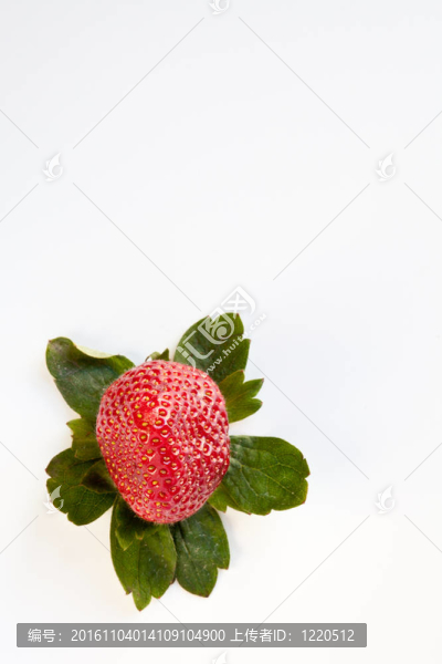 Strawberry从上面带绿叶