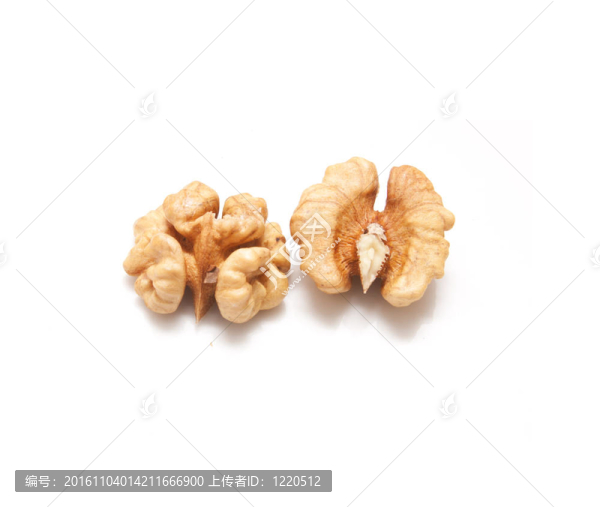 白色背景下的核桃仁