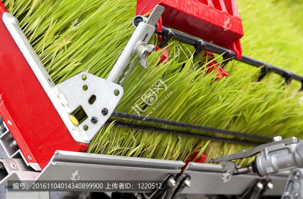 拖拉機(jī)上的豆芽