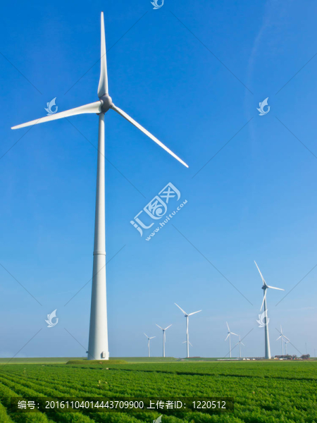 荷蘭農(nóng)業(yè)景觀中的風(fēng)力渦輪機(jī)