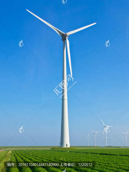 荷蘭農(nóng)業(yè)景觀中的巨型風(fēng)力渦輪機(jī)