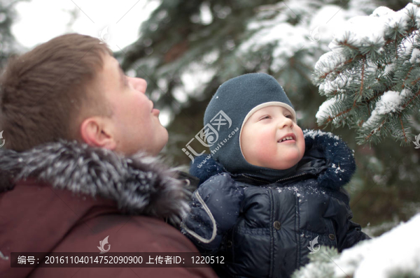 爸爸和兒子冬天在樹林里散步