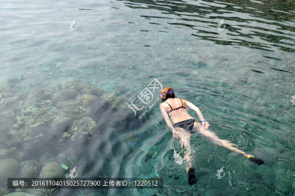 紅海的潛水