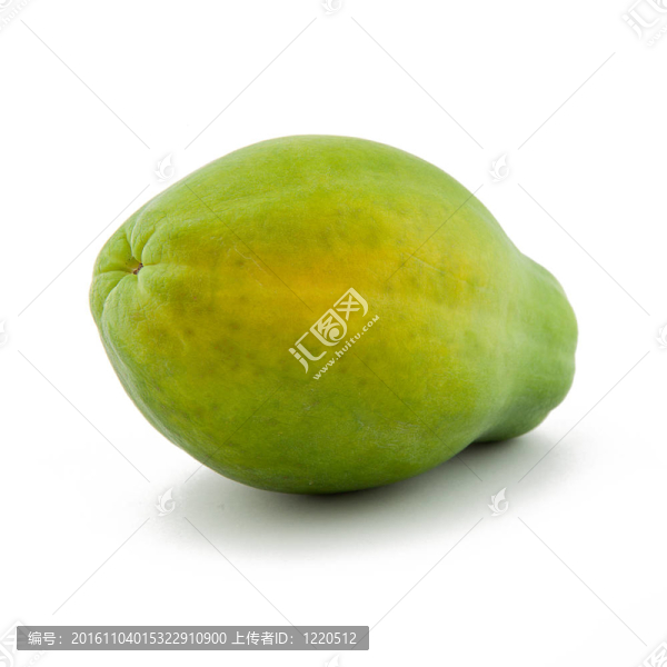 青木瓜果實(shí)