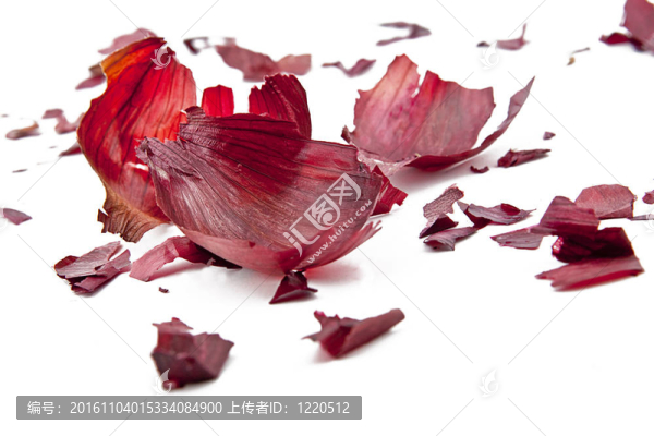 白色背景上的紅洋蔥