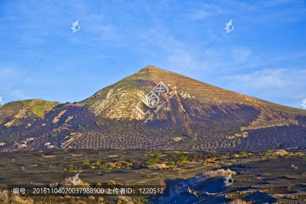 景觀拉赫里亞蘭薩羅特島；火山美國(guó)聽(tīng)力障礙協(xié)會(huì)葡萄酒區(qū)