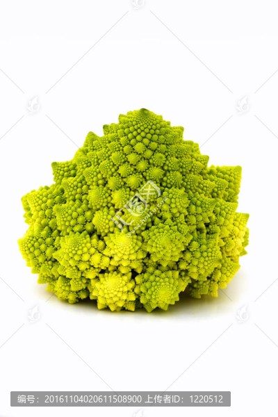 西蘭花