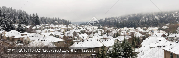 住宅郊區(qū)城市的冬天