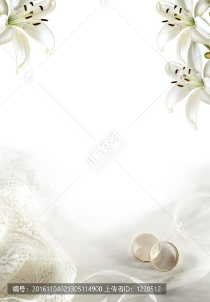 白色婚禮問候空白兩個(gè)金戒指或樂隊(duì)和百合花
