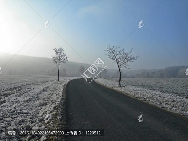 冷凍fielads路之間