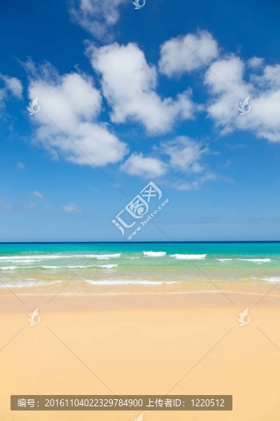 海灘的美麗