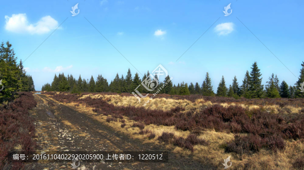 在山上的路