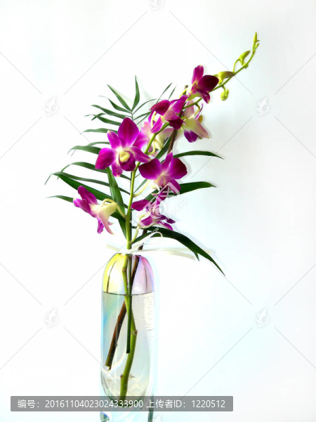 花瓶里的花