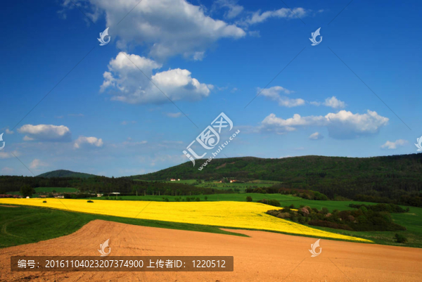 春天的風(fēng)景