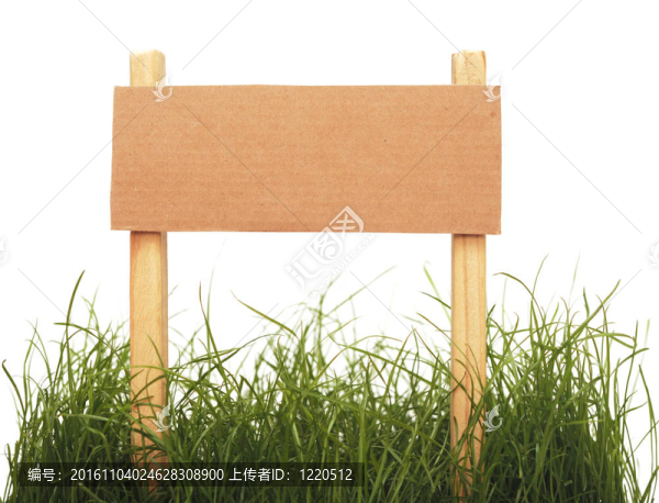 白色背景上草隔離的紙板標(biāo)牌