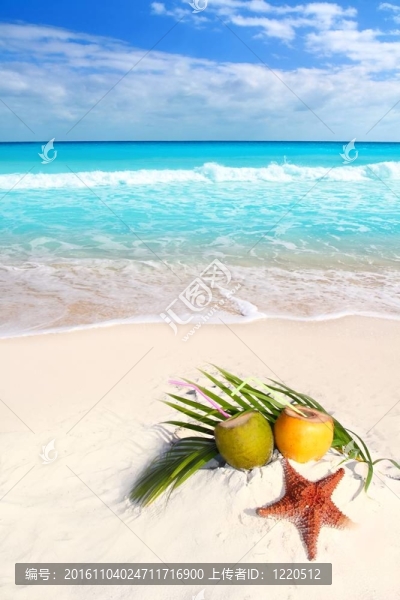 椰子雞尾酒果汁和海星在熱帶海灘