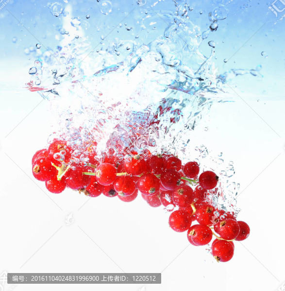 和水滴的紅漿果