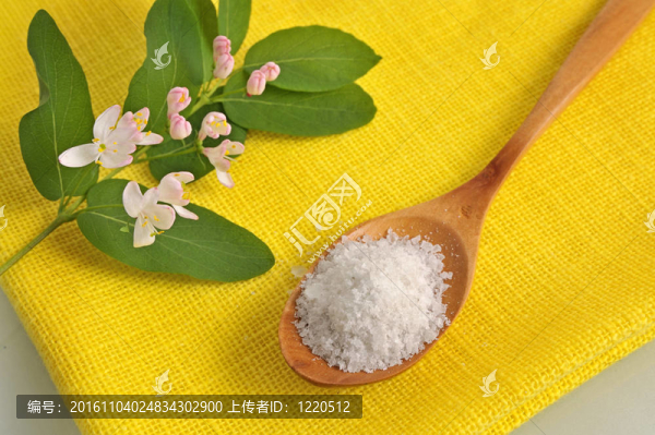 健康的鹽