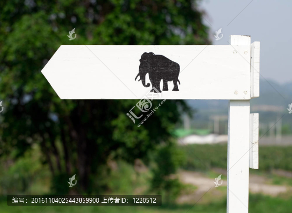 大象的方法
