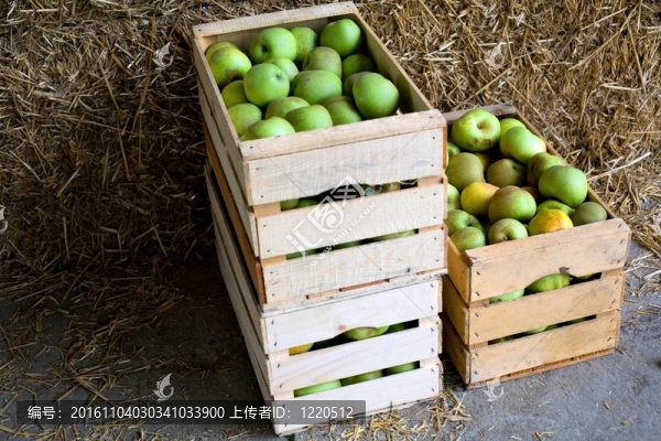 箱蘋果