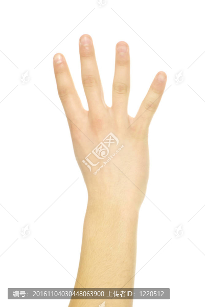 手