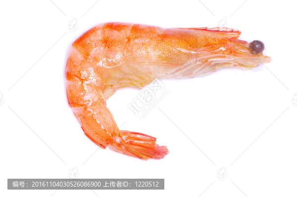蝦
