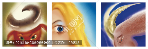 金牛座；處女座和摩羯座星座