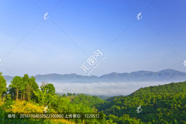 在山谷的霧海；Namprao村；泰國