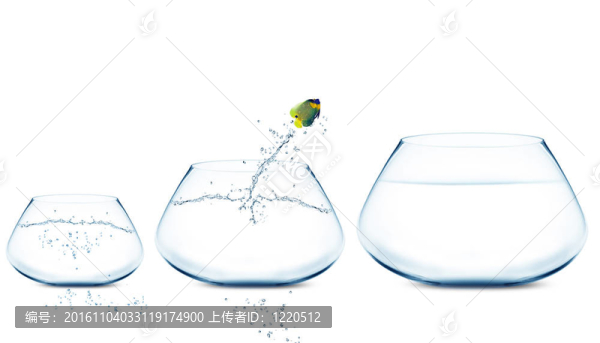 anglefish跳到大的碗
