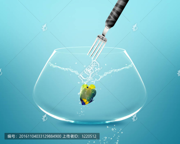 神仙魚在魚缸叉抓