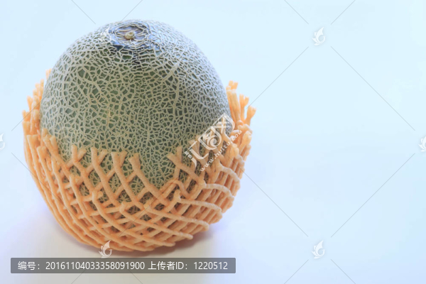 在白色背景的梅隆