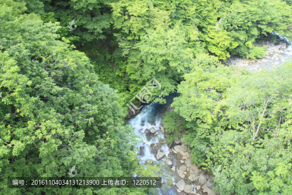 新鮮的綠色和流（峽谷馬祖