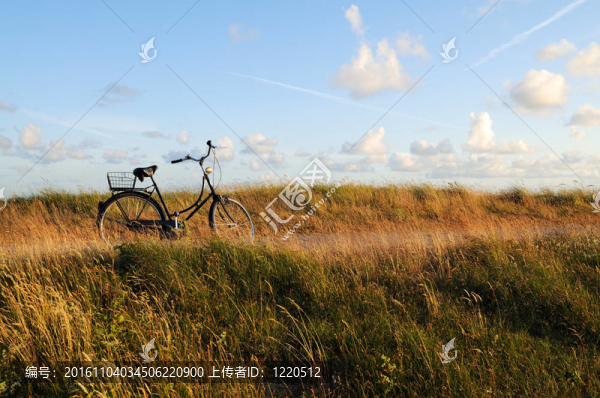 在海濱木板路的自行車