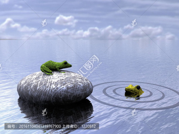 青蛙在岩石上看着水里的青蛙