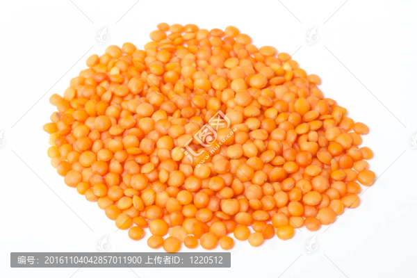 紅扁豆白色隔離