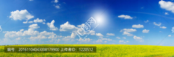 陽(yáng)光的魅力rapefield和Cloudscape。