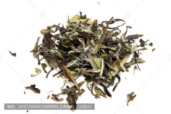 綠茶