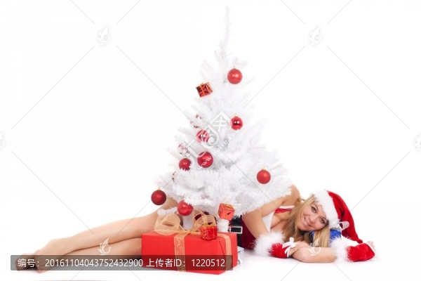 圣誕女人和樹