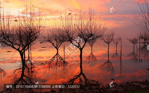美麗風景圖片