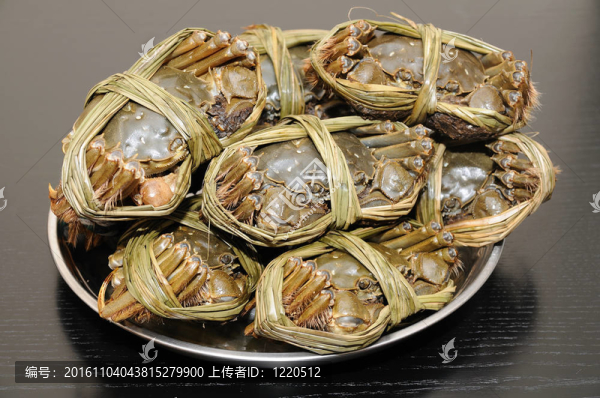 上海蟹類