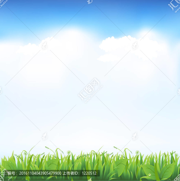 草地和天空