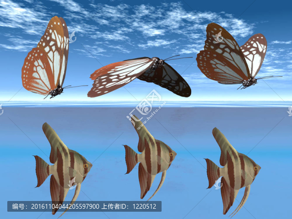 蝴蝶和魚