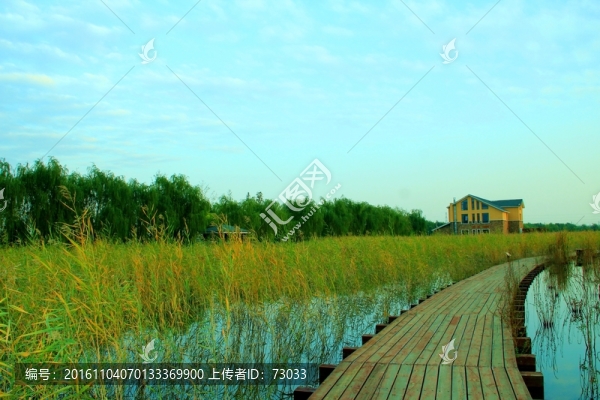 濕地木棧橋